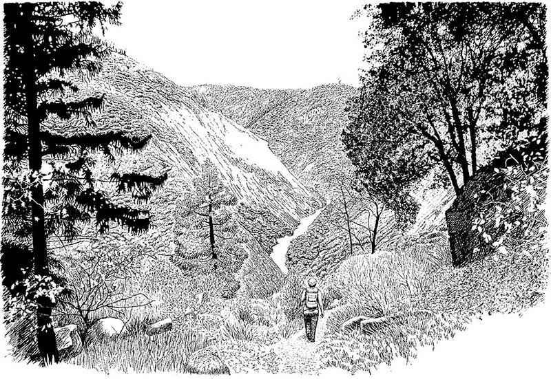 The author on hiking trail entering a steep forested canyon.
